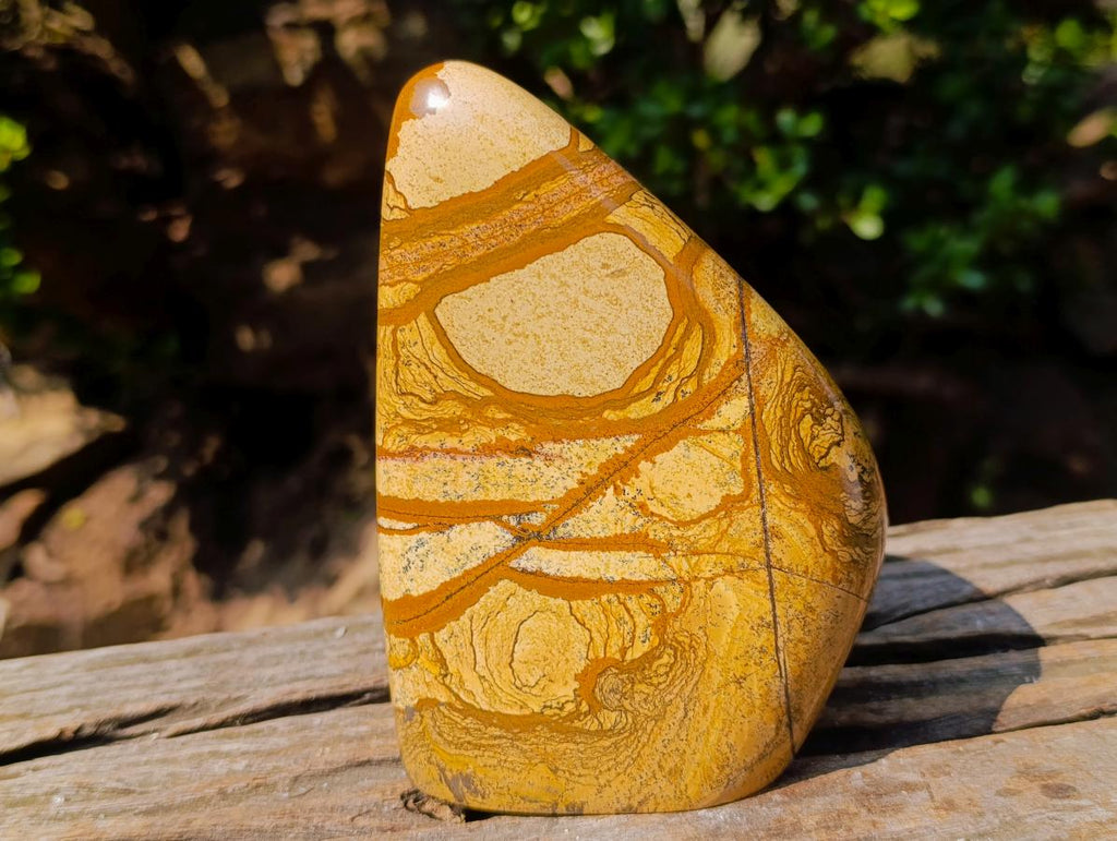 Polished Picture Stone Jasper Standing Display Pieces x 2 From Ais-Ais, Namibia