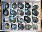 Polished Labradorite Palm Stones x 20 From Madagascar