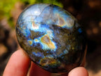 Polished Labradorite Palm Stones x 20 From Madagascar