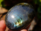 Polished Labradorite Palm Stones x 20 From Madagascar