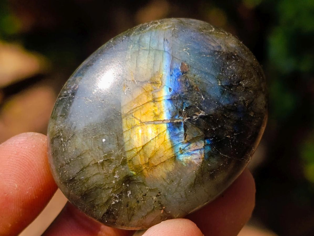 Polished Labradorite Palm Stones x 20 From Madagascar