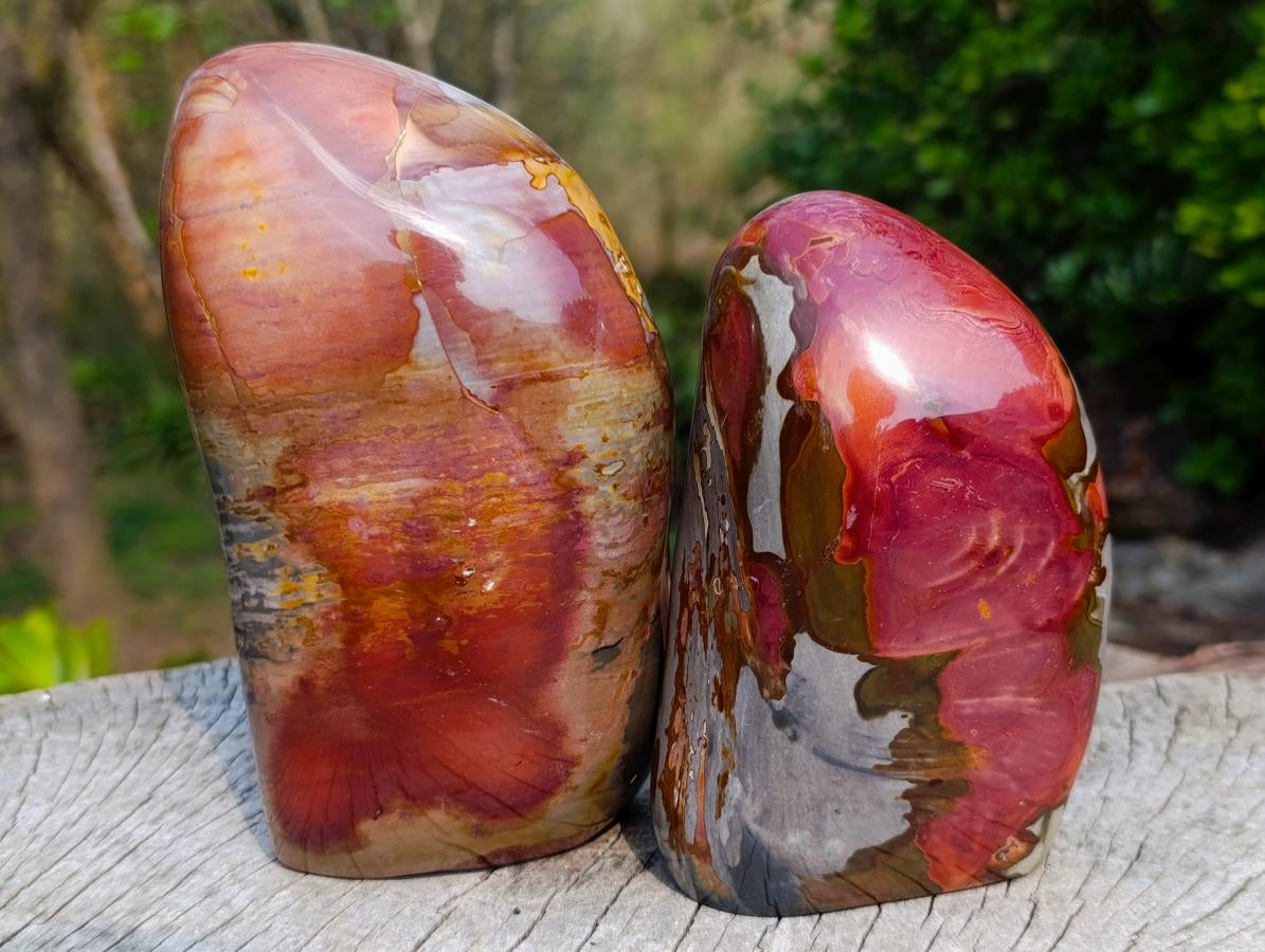 Polished Polychrome Jasper Standing Display Pieces x 2 From Androka, Madagascar