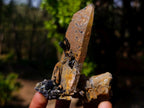 Natural Smokey Quartz Clusters with Associated Minerals x 12 From Erongo, Namibia