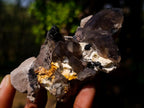 Natural Smokey Quartz Clusters with Associated Minerals x 12 From Erongo, Namibia