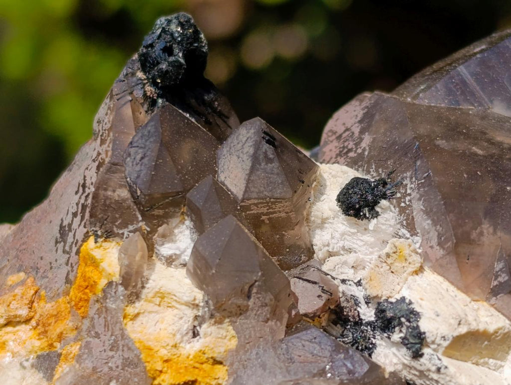 Natural Smokey Quartz Clusters with Associated Minerals x 12 From Erongo, Namibia