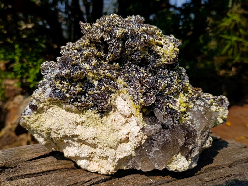 Natural XL Smokey Fluorite Specimen with Yellow Muscovite Mica x 1 From Erongo, Namibia