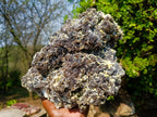 Natural XL Smokey Fluorite Specimen with Yellow Muscovite Mica x 1 From Erongo, Namibia