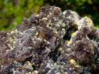 Natural XL Smokey Fluorite Specimen with Yellow Muscovite Mica x 1 From Erongo, Namibia