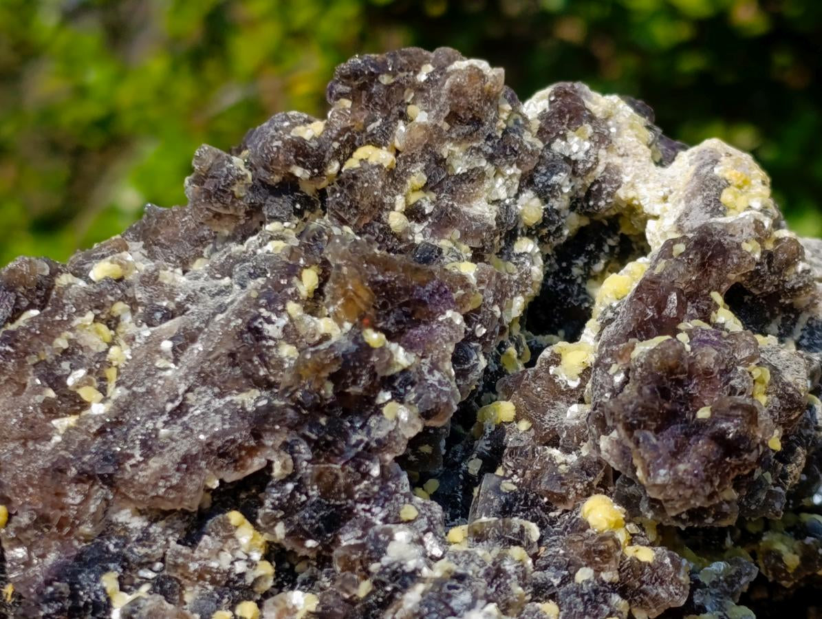 Natural XL Smokey Fluorite Specimen with Yellow Muscovite Mica x 1 From Erongo, Namibia
