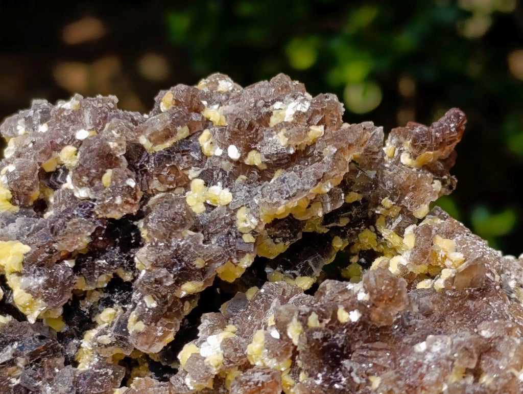 Natural XL Smokey Fluorite Specimen with Yellow Muscovite Mica x 1 From Erongo, Namibia