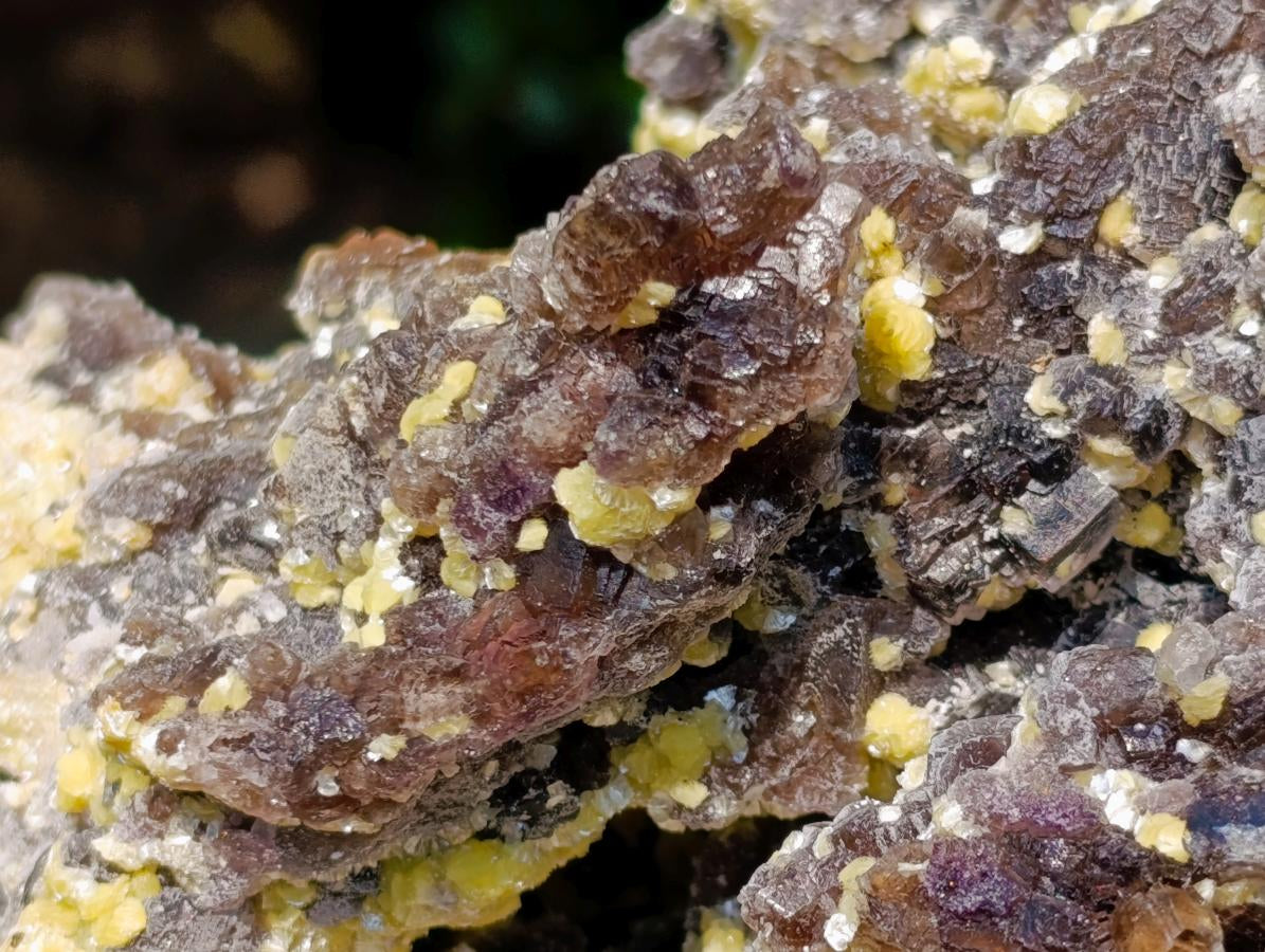 Natural XL Smokey Fluorite Specimen with Yellow Muscovite Mica x 1 From Erongo, Namibia