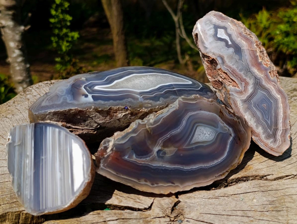 Polished One Side Red Shashe River Agate Nodules x 4 From Shashe River, Zimbabwe