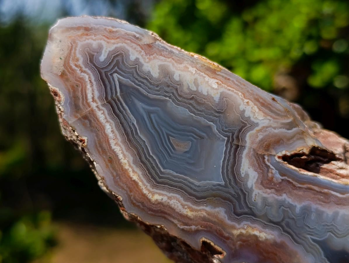 Polished One Side Red Shashe River Agate Nodules x 4 From Shashe River, Zimbabwe