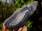 Polished One Side Red Shashe River Agate Nodules x 4 From Shashe River, Zimbabwe