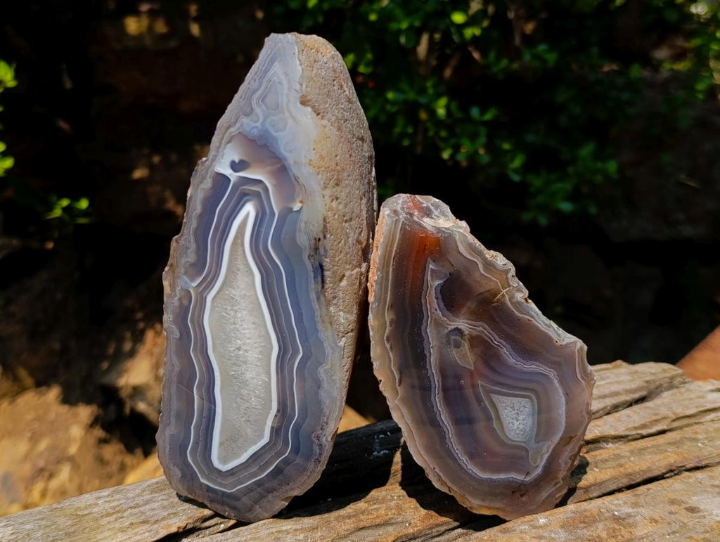 Polished One Side Red Shashe River Agate Nodules x 4 From Shashe River, Zimbabwe