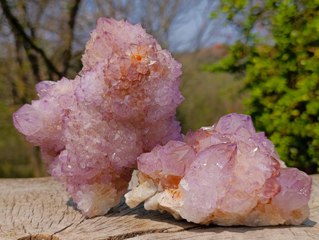 Natural Spirit Amethyst Clusters x 2 From Boekenhouthoek, South Africa