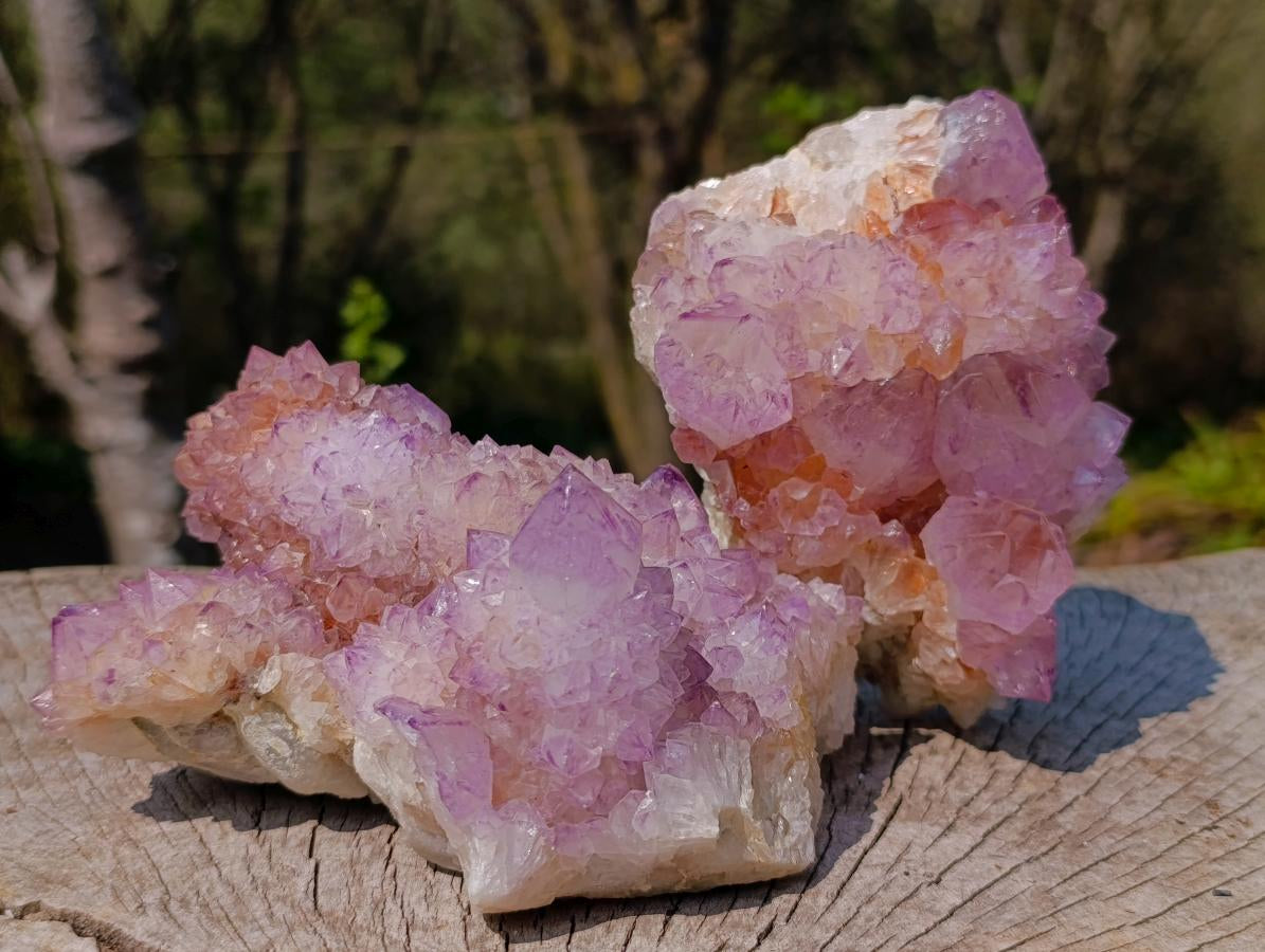 Natural Spirit Amethyst Clusters x 2 From Boekenhouthoek, South Africa