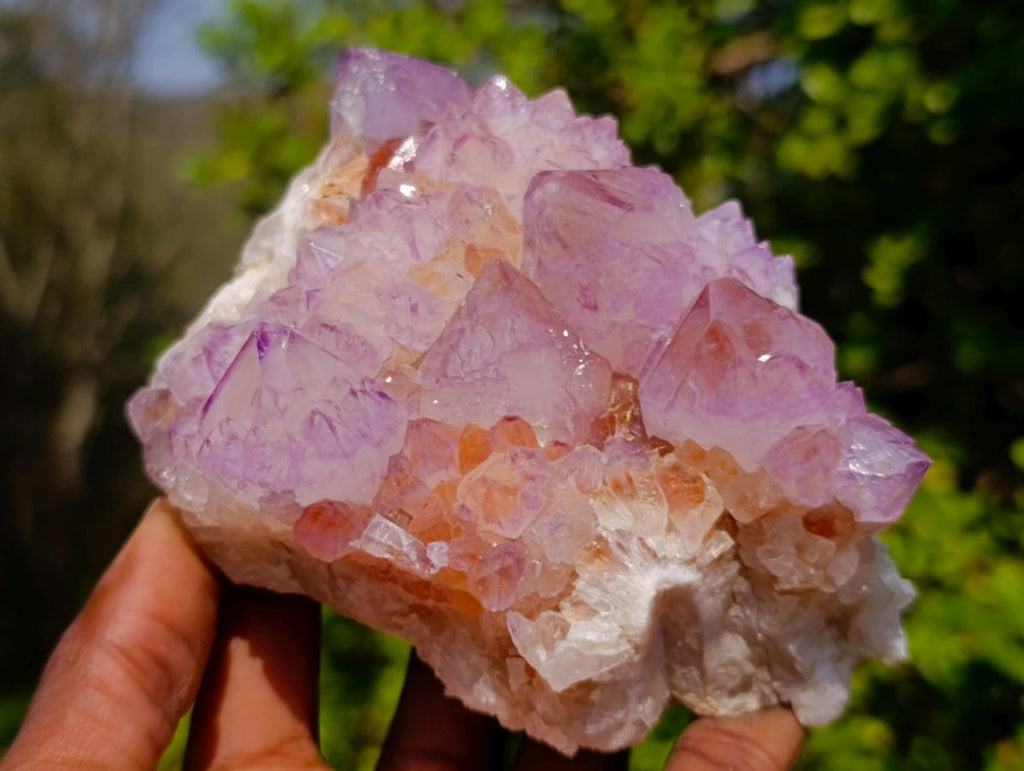 Natural Spirit Amethyst Clusters x 2 From Boekenhouthoek, South Africa