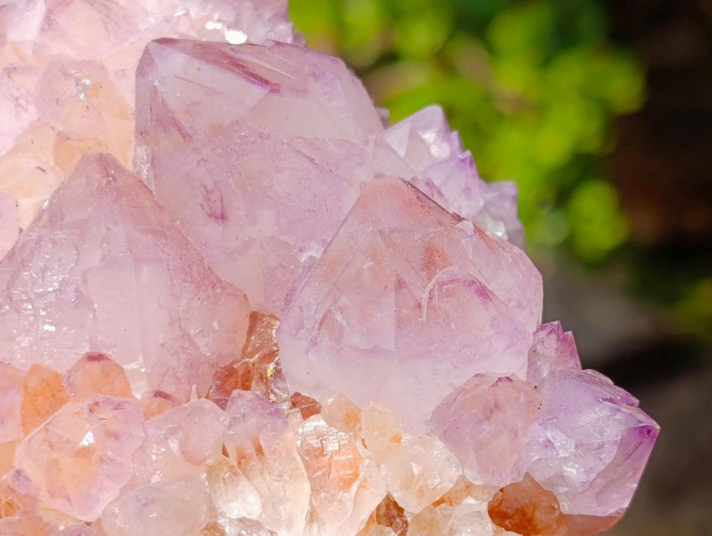 Natural Spirit Amethyst Clusters x 2 From Boekenhouthoek, South Africa