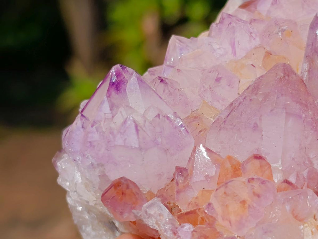 Natural Spirit Amethyst Clusters x 2 From Boekenhouthoek, South Africa