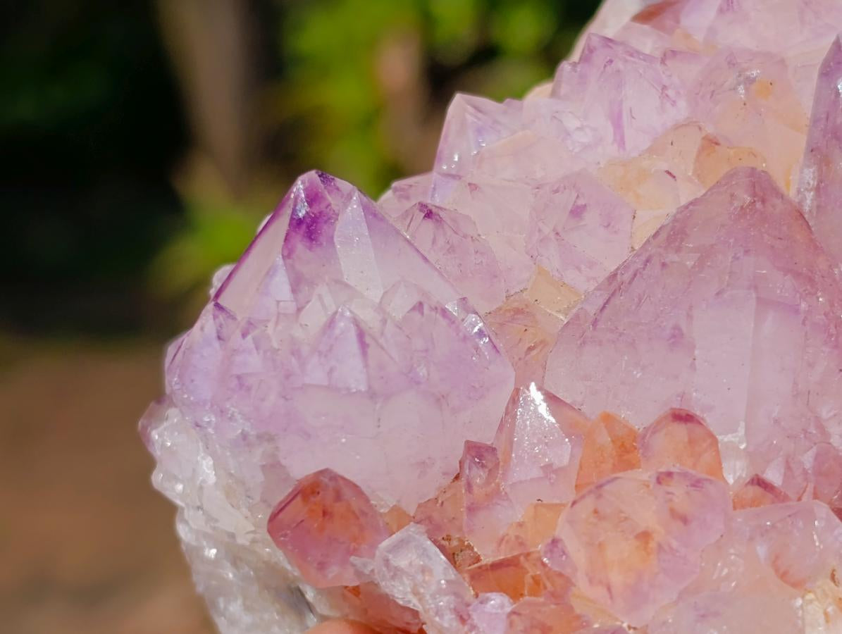 Natural Spirit Amethyst Clusters x 2 From Boekenhouthoek, South Africa