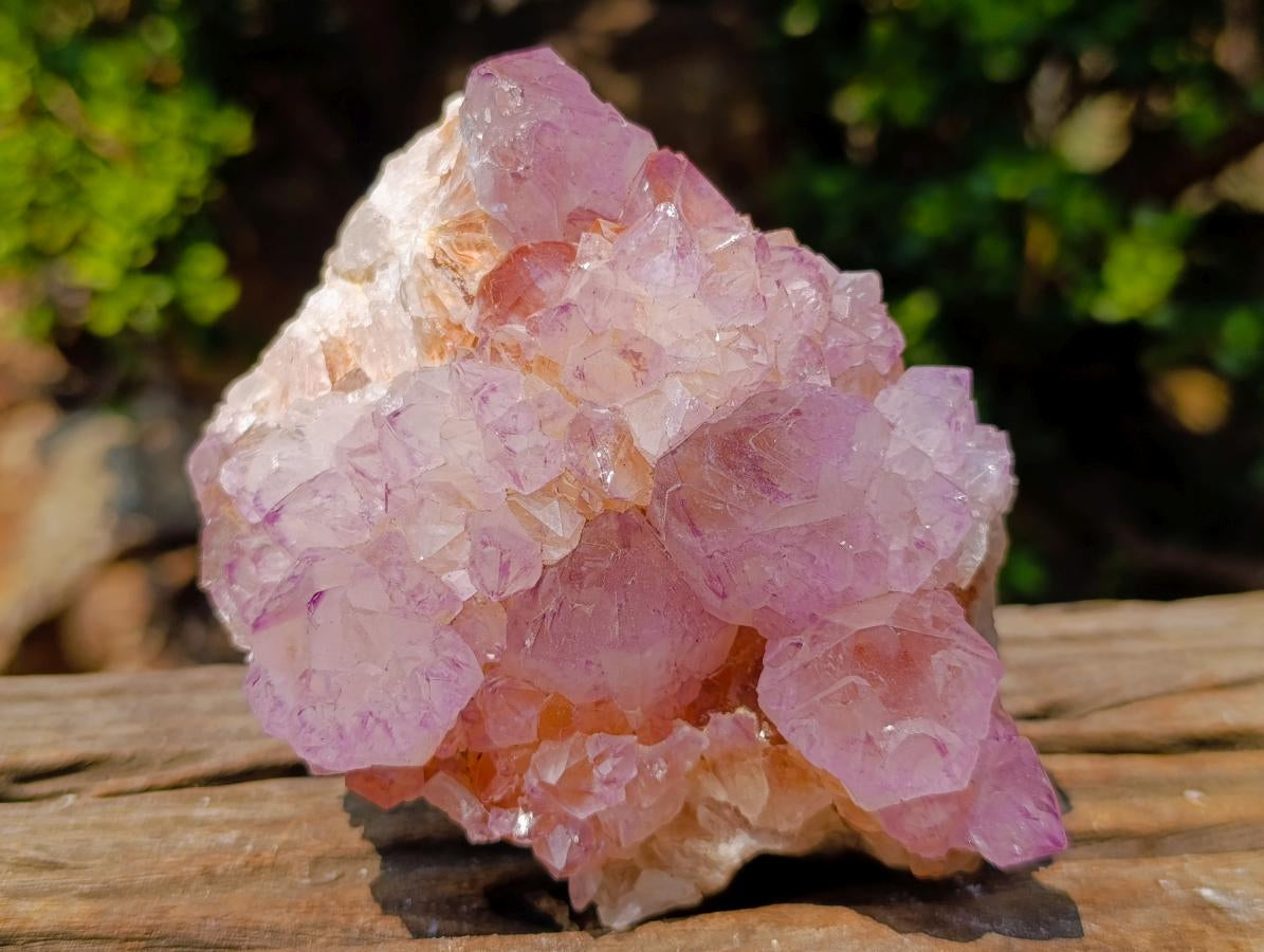 Natural Spirit Amethyst Clusters x 2 From Boekenhouthoek, South Africa