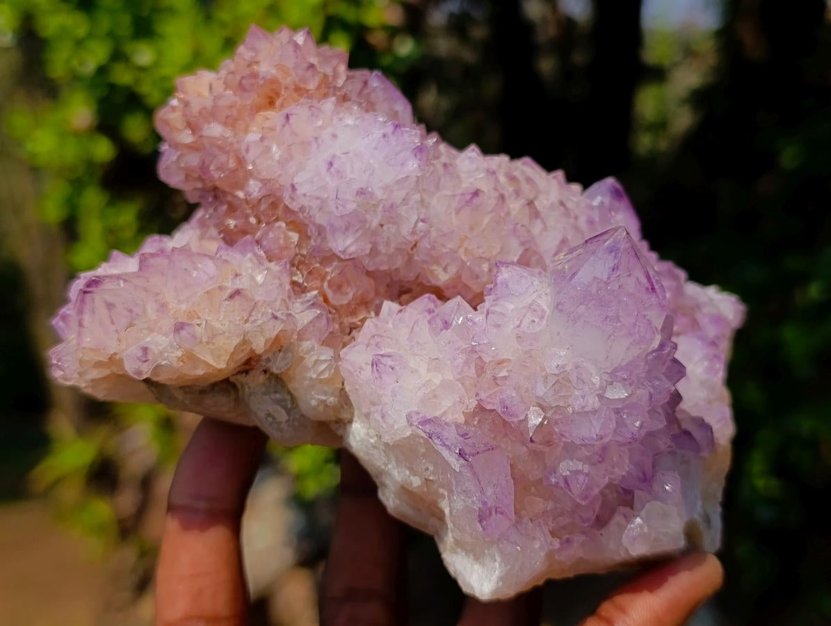 Natural Spirit Amethyst Clusters x 2 From Boekenhouthoek, South Africa