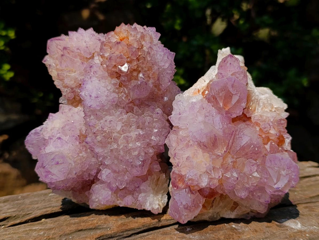 Natural Spirit Amethyst Clusters x 2 From Boekenhouthoek, South Africa
