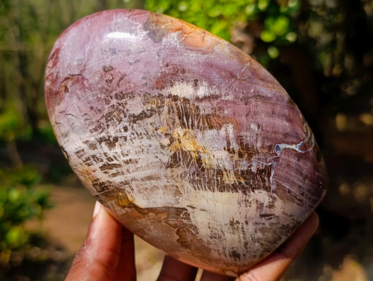 Polished Red Podocarpus Petrified Wood Standing Display Pieces x 2 From Mahajanga, Madagascar