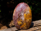 Polished Red Podocarpus Petrified Wood Standing Display Pieces x 2 From Mahajanga, Madagascar