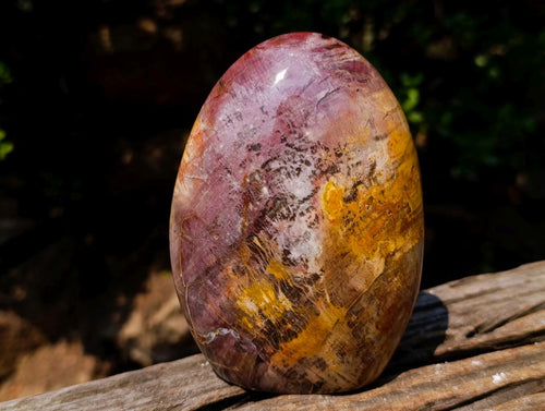 Polished Red Podocarpus Petrified Wood Standing Display Pieces x 2 From Mahajanga, Madagascar