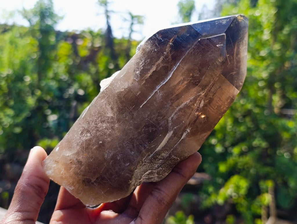 Natural Large Smokey Morion Quartz Crystals x 3 From Erongo, Namibia