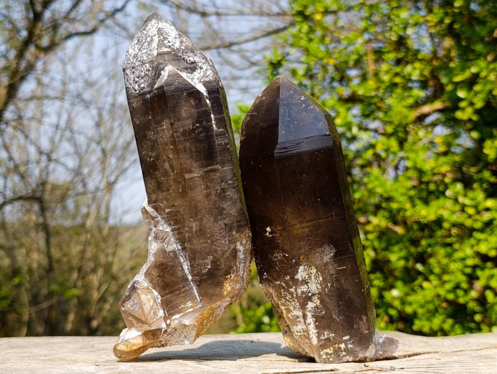 Natural Large Smokey Morion Quartz Crystals x 3 From Erongo, Namibia