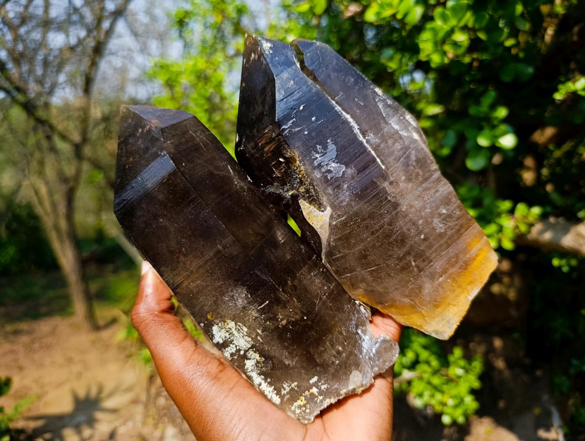 Natural Large Smokey Morion Quartz Crystals x 3 From Erongo, Namibia