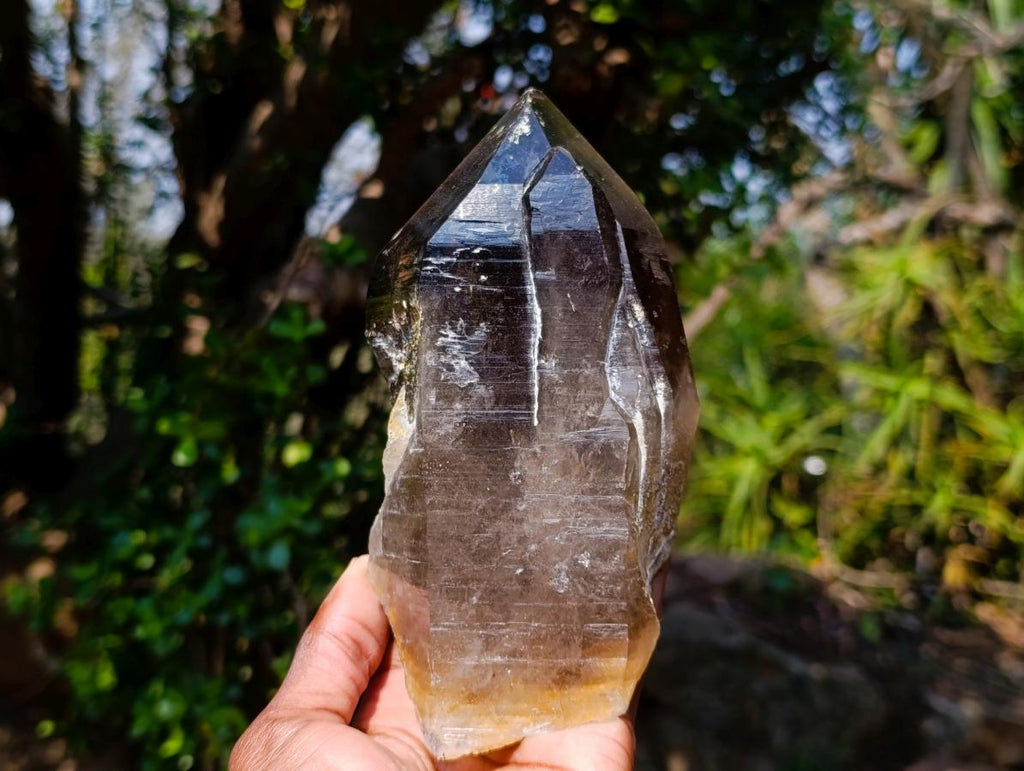 Natural Large Smokey Morion Quartz Crystals x 3 From Erongo, Namibia