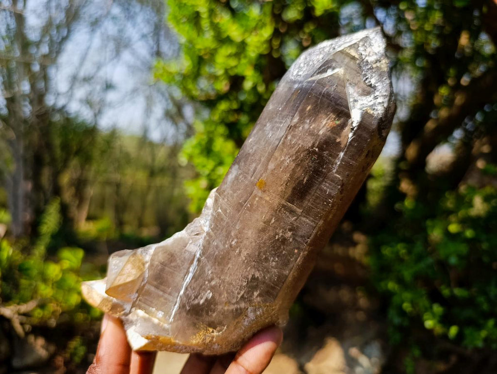 Natural Large Smokey Morion Quartz Crystals x 3 From Erongo, Namibia