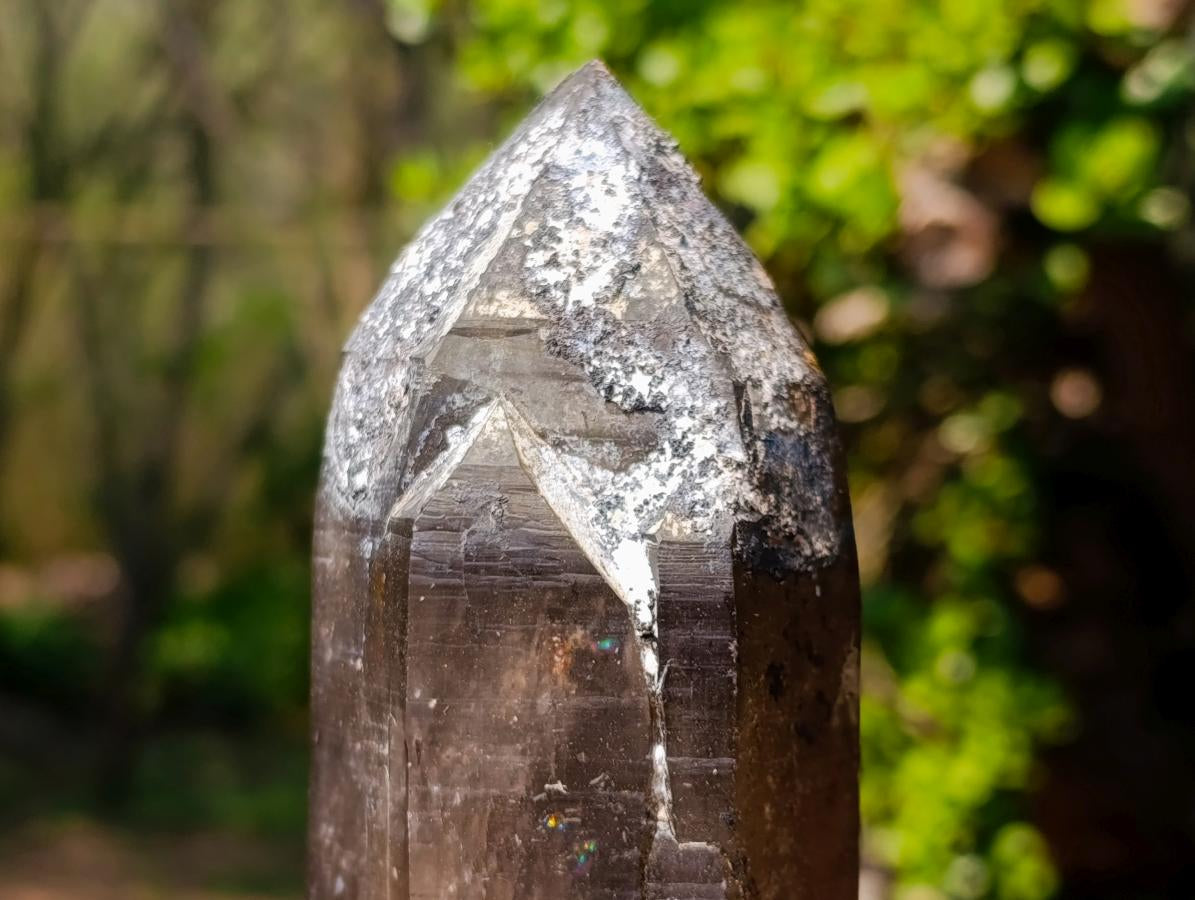 Natural Large Smokey Morion Quartz Crystals x 3 From Erongo, Namibia