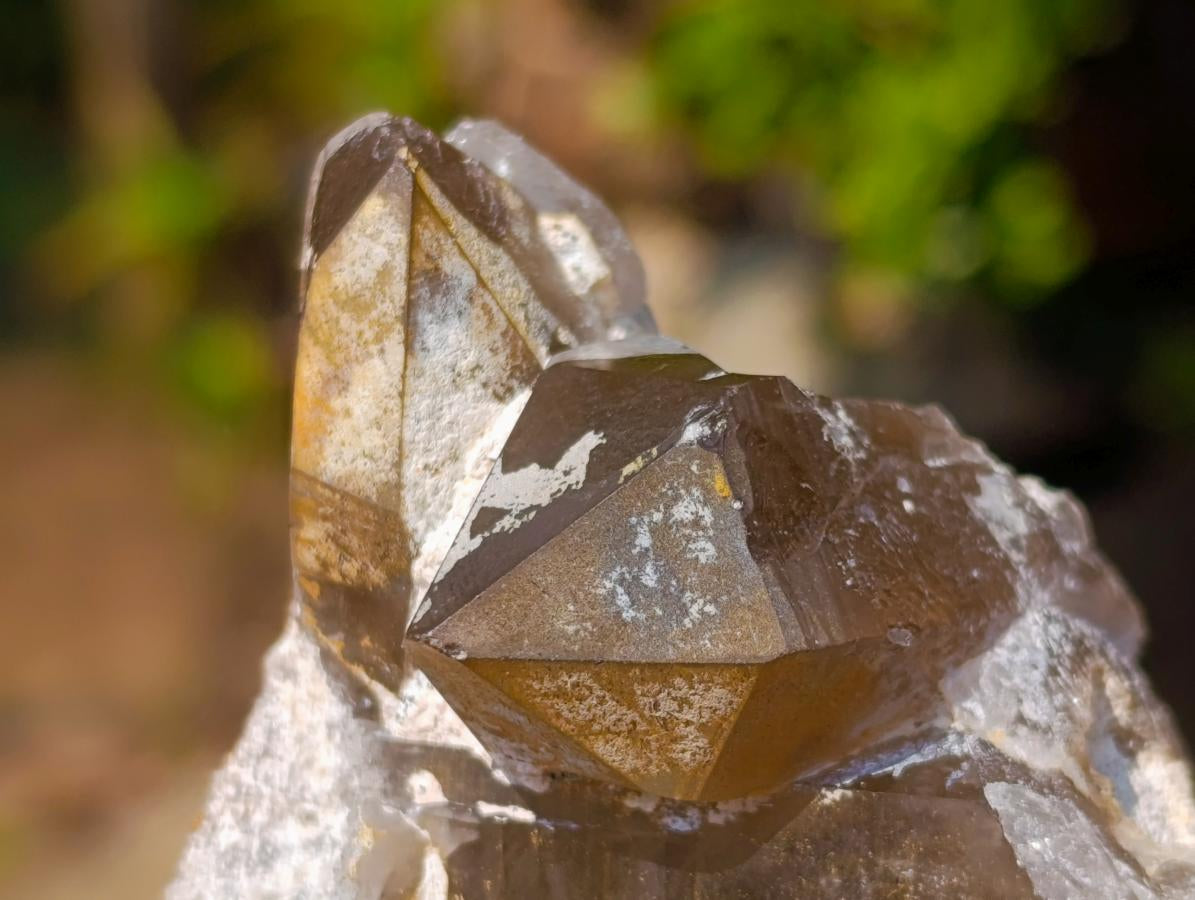 Natural Large Smokey Morion Quartz Crystals x 3 From Erongo, Namibia