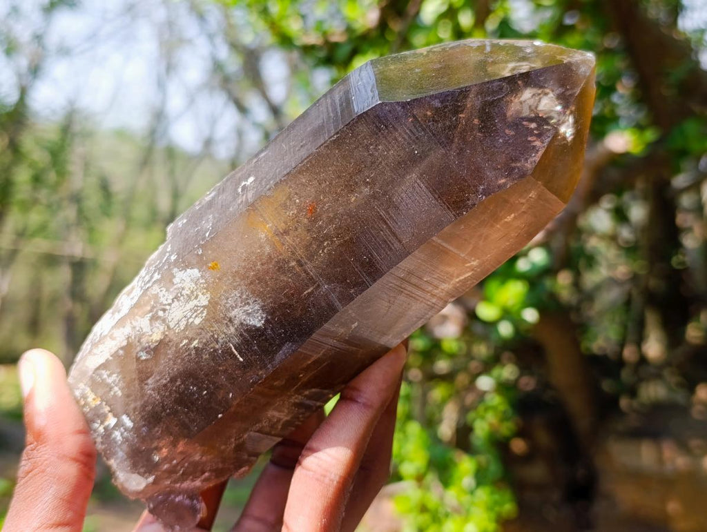Natural Large Smokey Morion Quartz Crystals x 3 From Erongo, Namibia