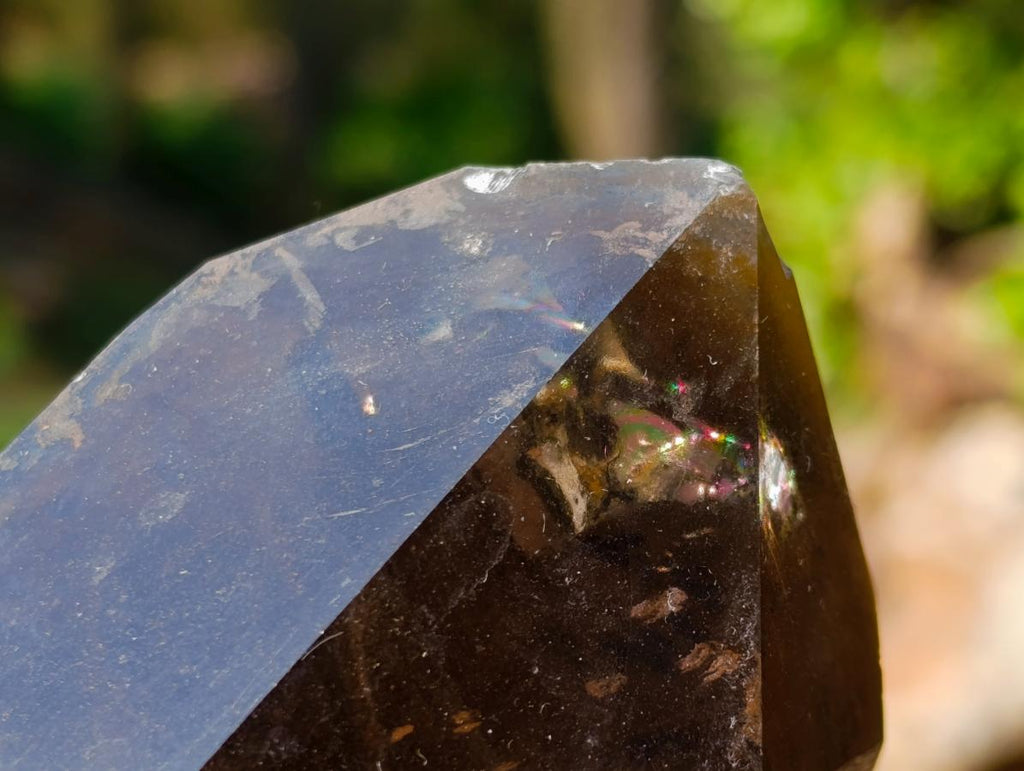 Natural Large Smokey Morion Quartz Crystals x 3 From Erongo, Namibia