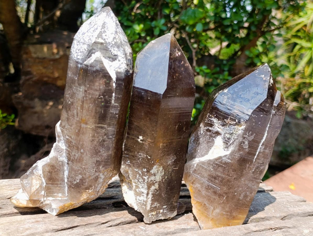Natural Large Smokey Morion Quartz Crystals x 3 From Erongo, Namibia