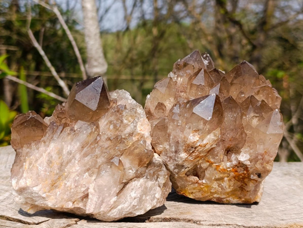 Natural Smokey Citrine Quartz Clusters x 2 From Luena, Congo
