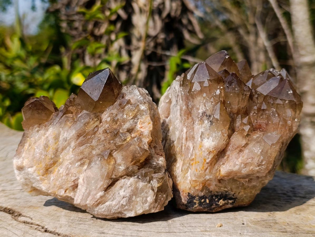 Natural Smokey Citrine Quartz Clusters x 2 From Luena, Congo