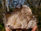 Natural Smokey Citrine Quartz Clusters x 2 From Luena, Congo