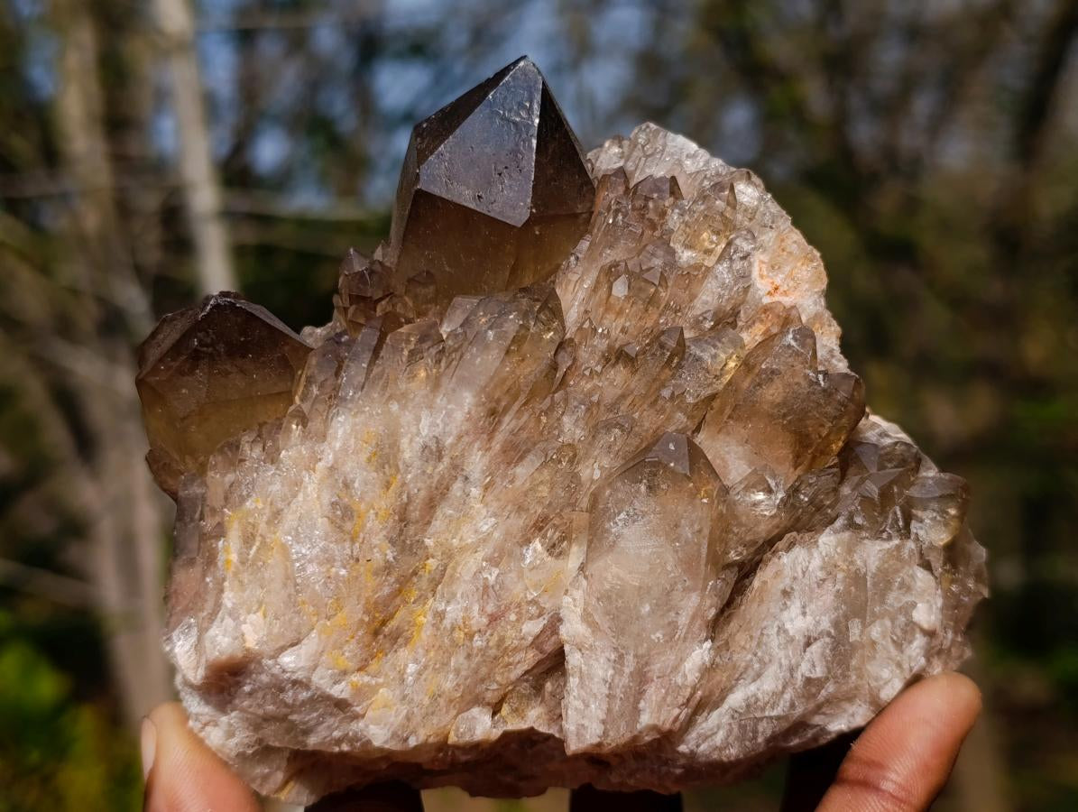 Natural Smokey Citrine Quartz Clusters x 2 From Luena, Congo