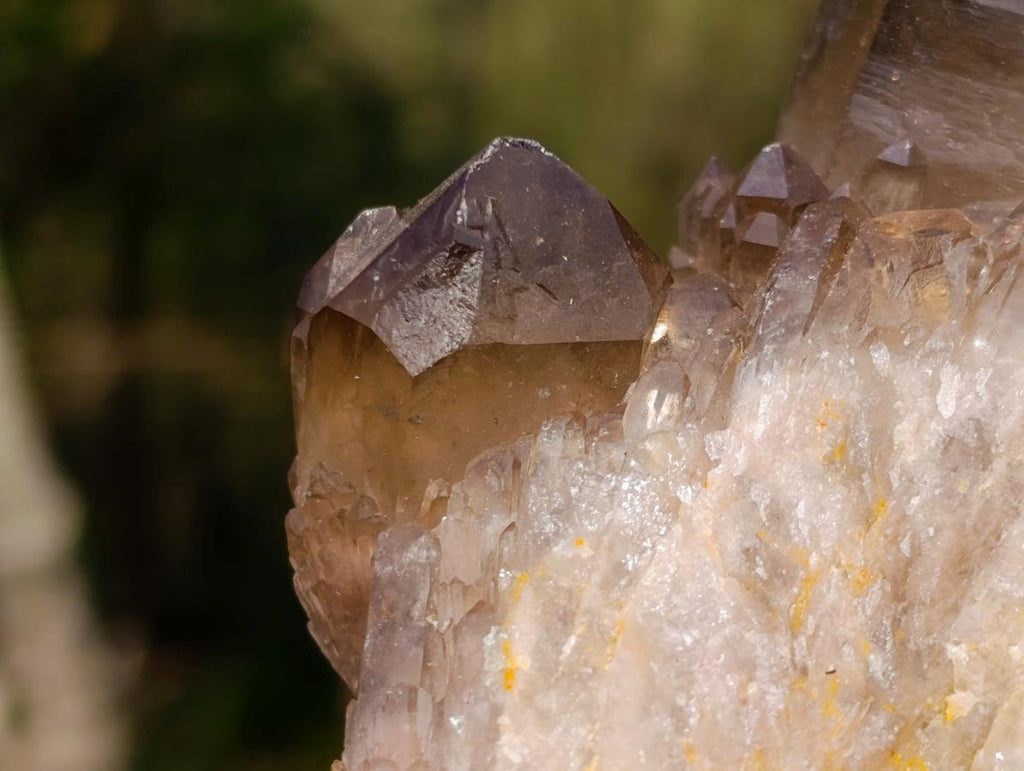 Natural Smokey Citrine Quartz Clusters x 2 From Luena, Congo