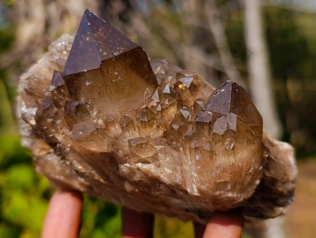 Natural Smokey Citrine Quartz Clusters x 2 From Luena, Congo