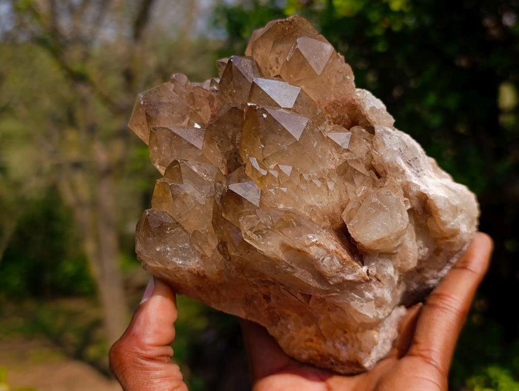 Natural Smokey Citrine Quartz Clusters x 2 From Luena, Congo
