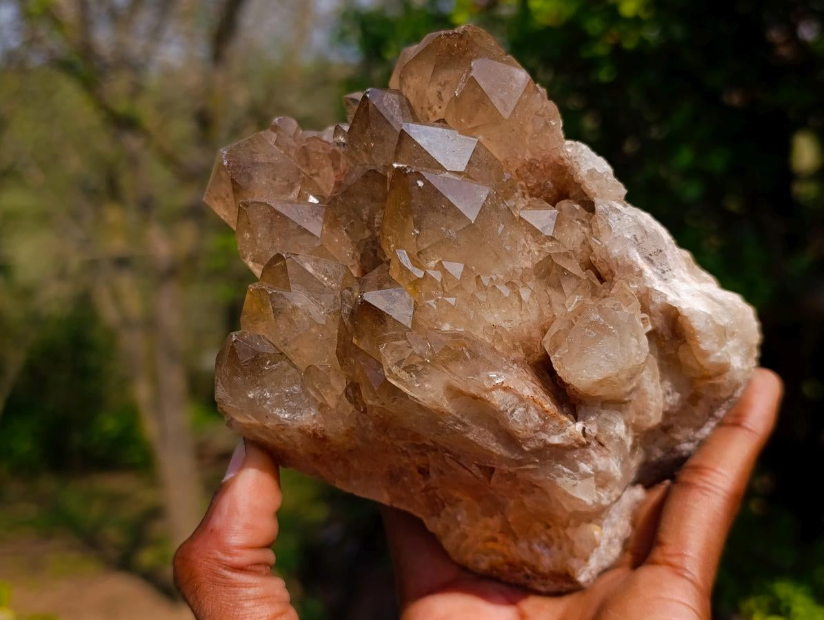 Natural Smokey Citrine Quartz Clusters x 2 From Luena, Congo