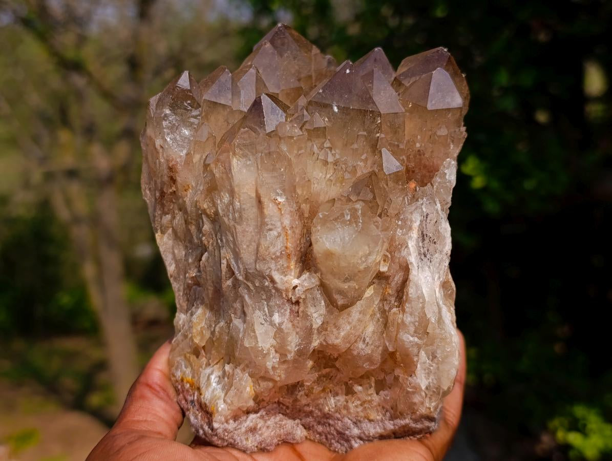 Natural Smokey Citrine Quartz Clusters x 2 From Luena, Congo